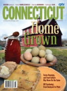 Connecticut May 01, 2016 Issue Cover