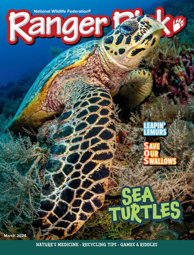 Ranger-Rick March 01, 2024 Issue Cover
