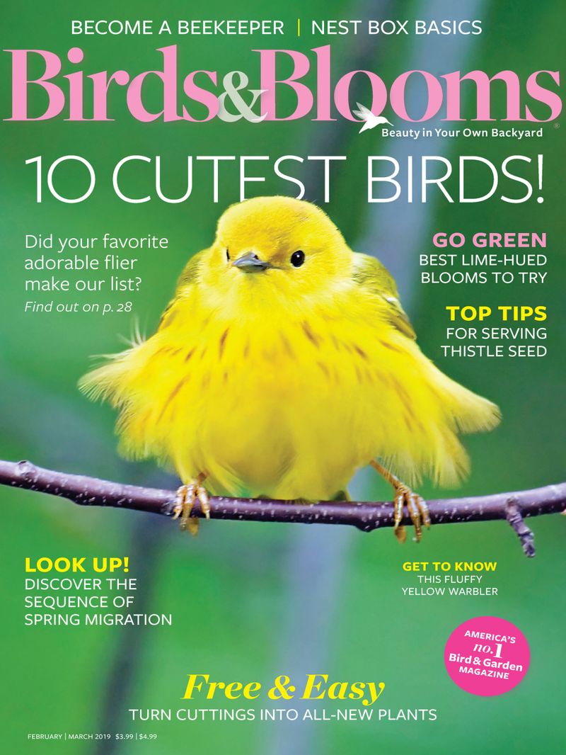 Birds-and-Blooms February 01, 2019 Issue Cover