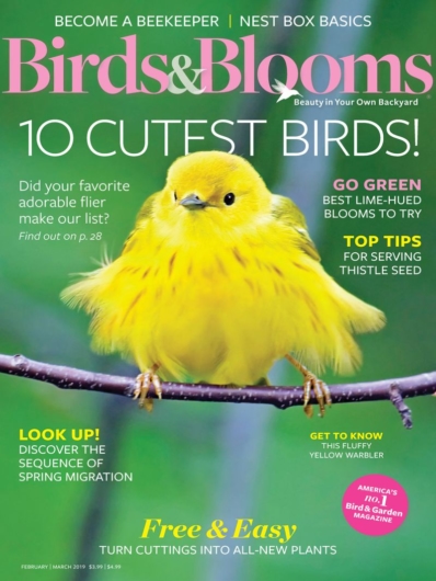 Birds & Blooms February 01, 2019 Issue Cover