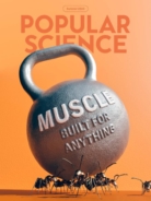Popular-Science June 01, 2023 Issue Cover