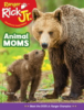 Ranger Rick Jr. May 01, 2026 Issue Cover