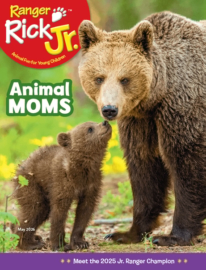Ranger-Rick-Jr May 01, 2026 Issue Cover