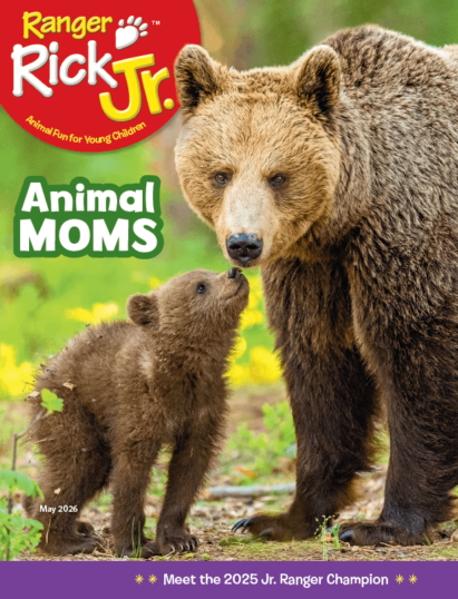Ranger Rick Jr. May 01, 2026 Issue Cover