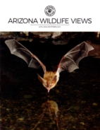 Arizona-Wildlife-Views January 01, 2018 Issue Cover
