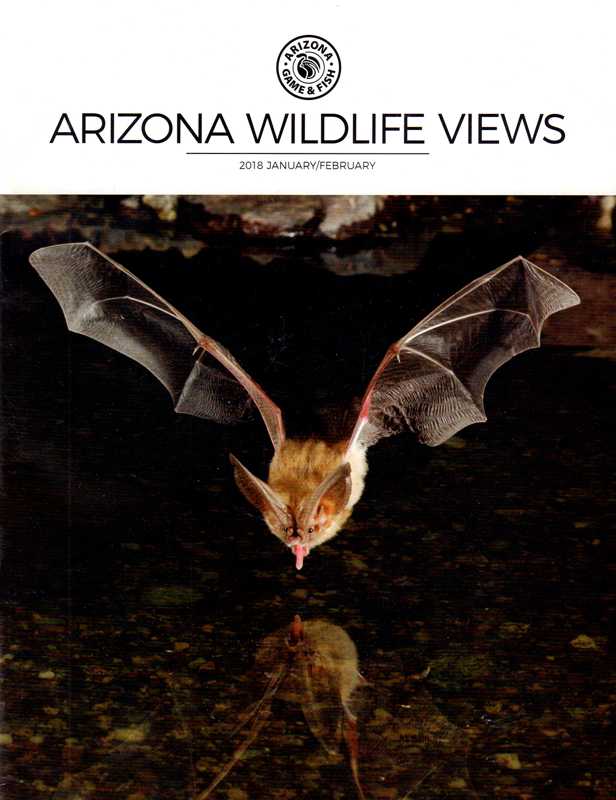 Arizona-Wildlife-Views January 01, 2018 Issue Cover