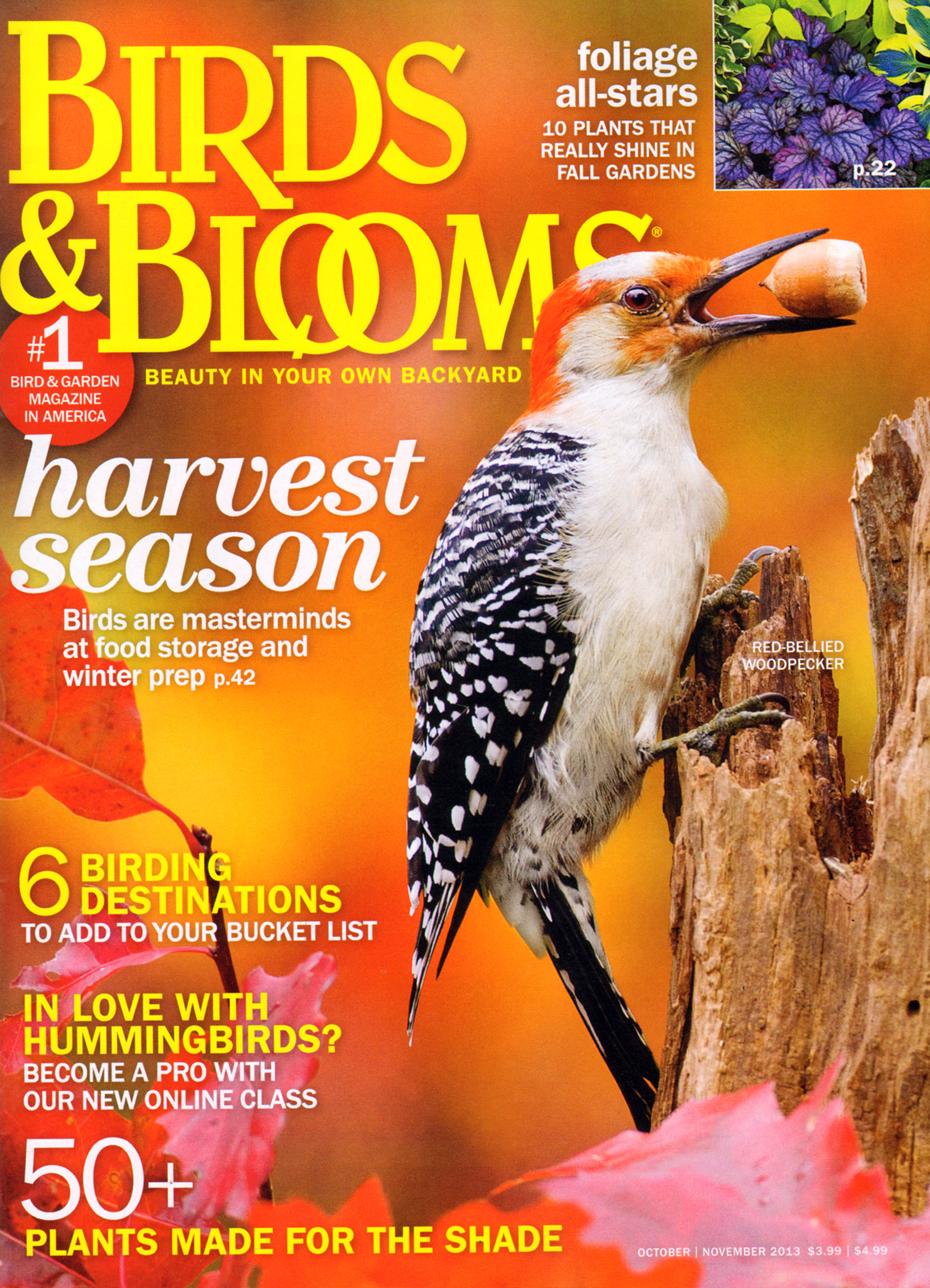 Birds-and-Blooms October 01, 2013 Issue Cover