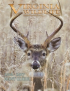 Virginia-Wildlife November 01, 2016 Issue Cover