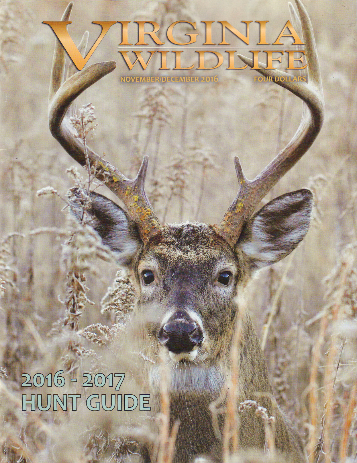 Virginia-Wildlife November 01, 2016 Issue Cover