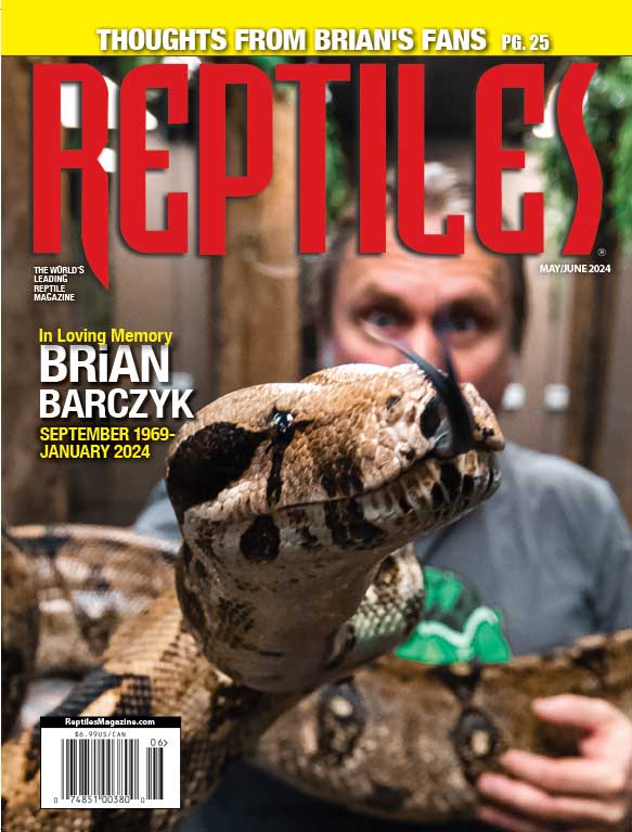 Reptiles May 01, 2024 Issue Cover