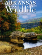 Arkansas-Wildlife September 01, 2018 Issue Cover