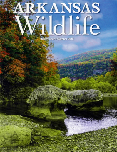Arkansas Wildlife September 01, 2018 Issue Cover
