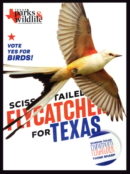 Texas Parks & Wildlife May 01, 2024 Issue Cover