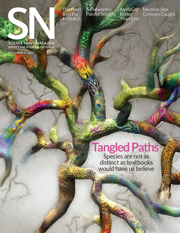 Science-News November 11, 2017 Issue Cover