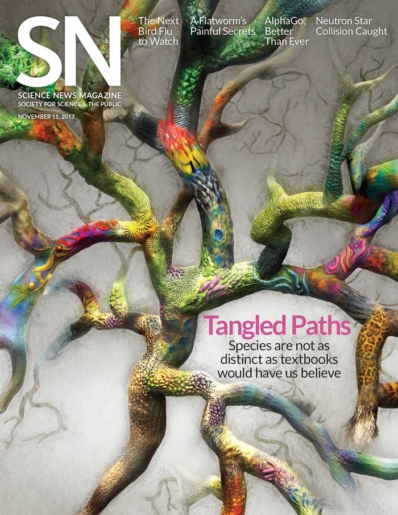 Science News November 11, 2017 Issue Cover