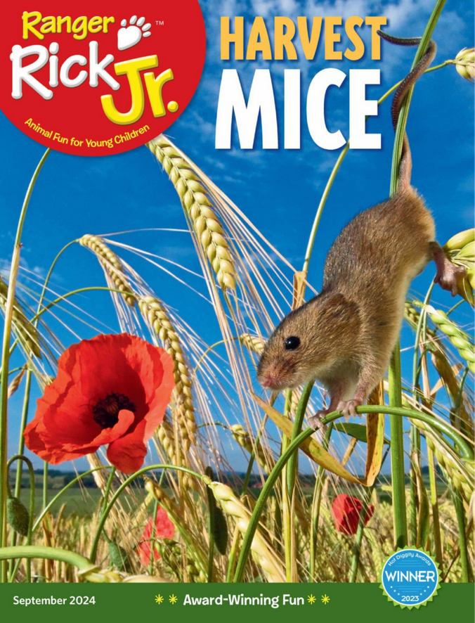Ranger-Rick-Jr September 01, 2024 Issue Cover
