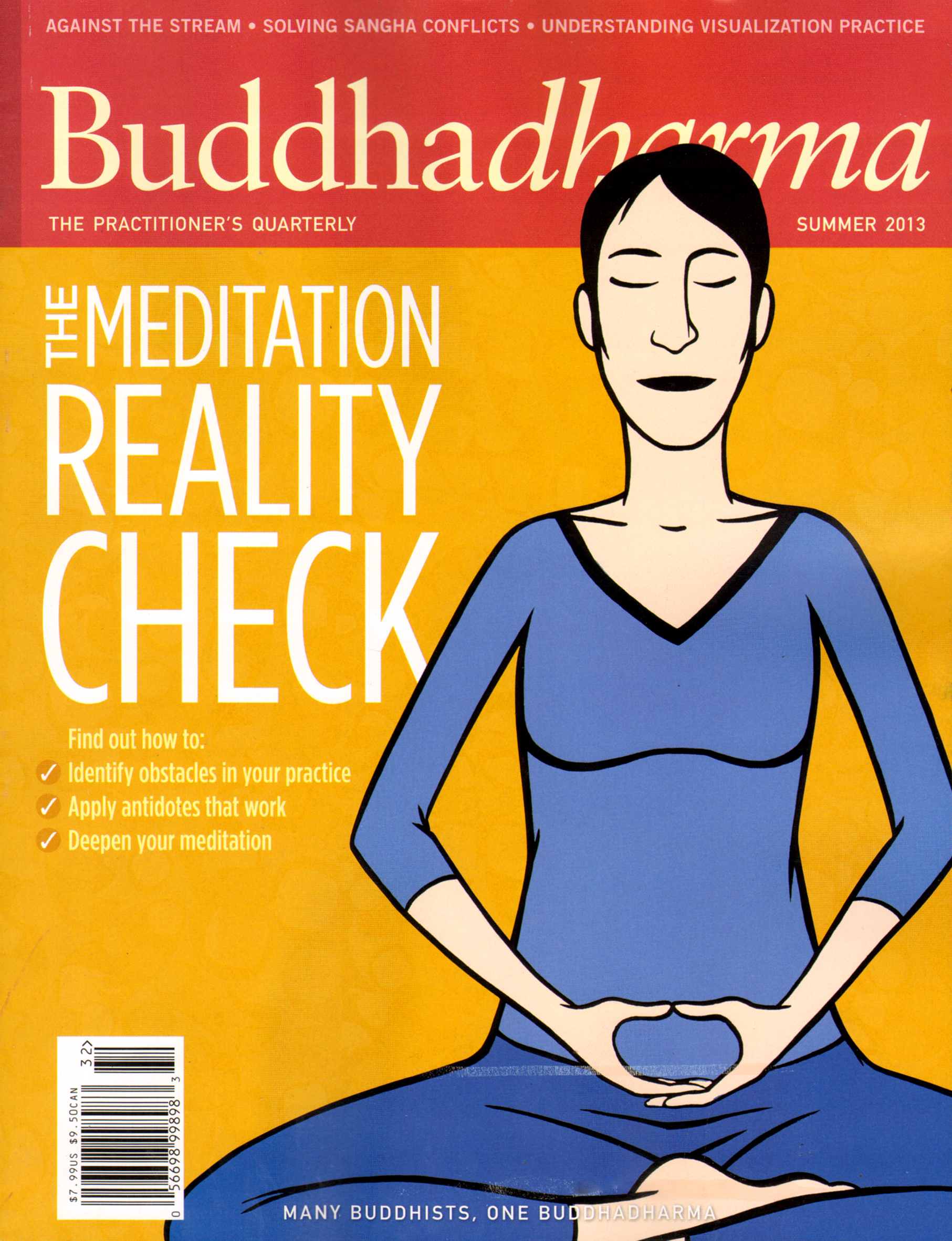 BUDDHADHARMA-THE-PRACTIONERS-QUARTERLY June 01, 2013 Issue Cover