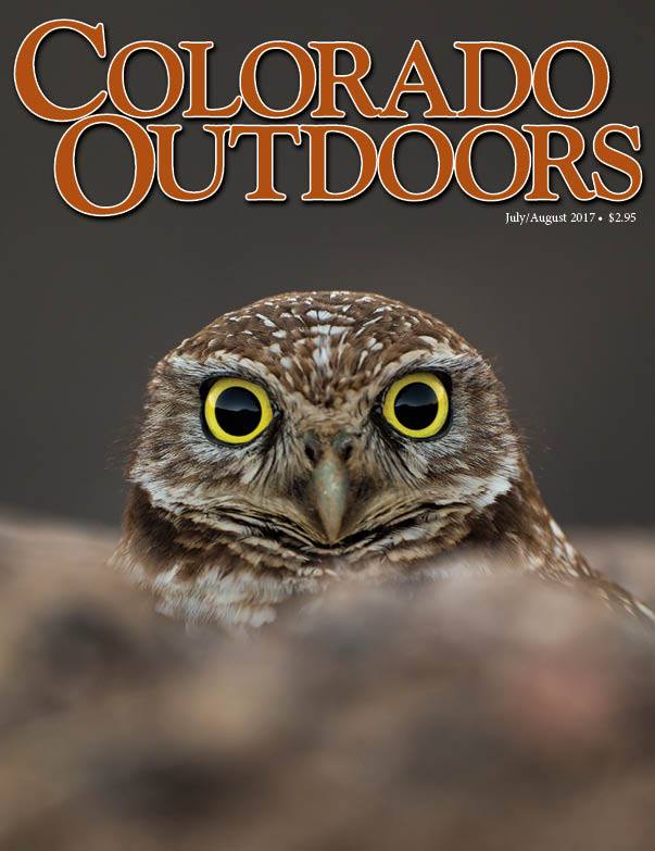 Colorado-Outdoors July 01, 2017 Issue Cover