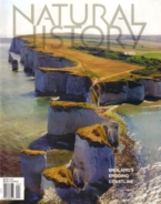Natural-History April 01, 2020 Issue Cover