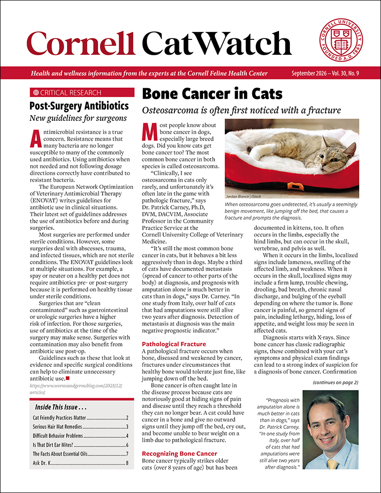 Catwatch September 01, 2026 Issue Cover
