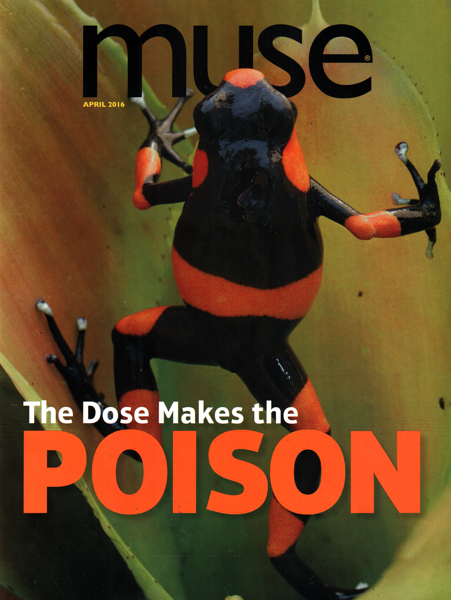 Muse April 01, 2016 Issue Cover