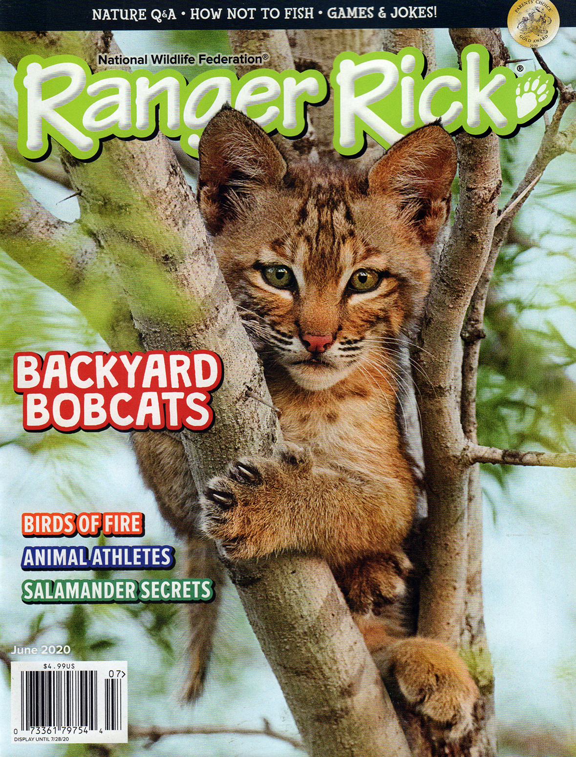 Ranger-Rick June 01, 2020 Issue Cover