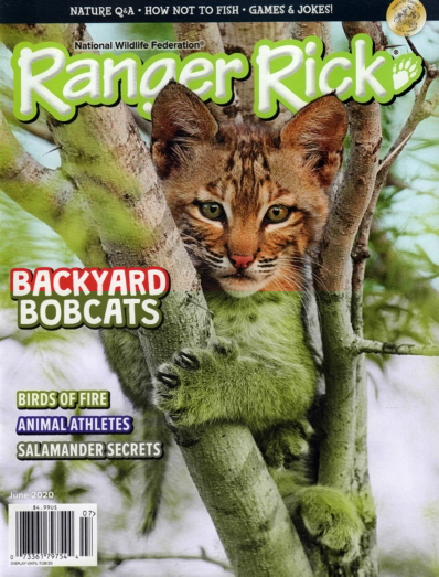 Ranger Rick June 01, 2020 Issue Cover