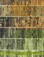 South-Carolina-Wildlife November 01, 2013 Issue Cover
