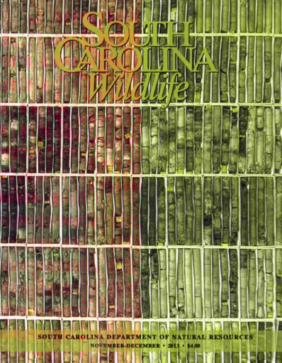 South Carolina Wildlife November 01, 2013 Issue Cover