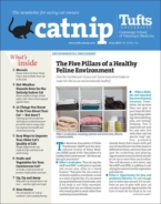 Catnip June 01, 2022 Issue Cover