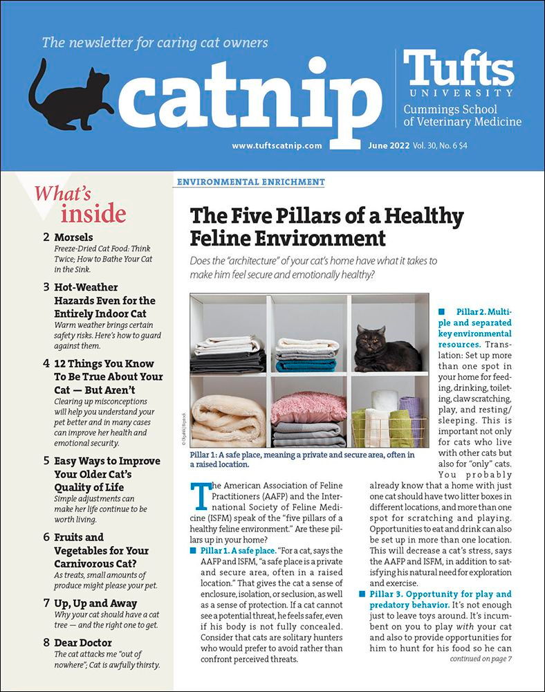 Catnip June 01, 2022 Issue Cover