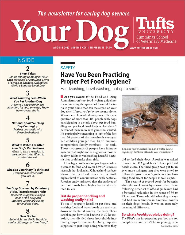 Your-Dog August 01, 2022 Issue Cover