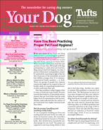 Your-Dog August 01, 2022 Issue Cover