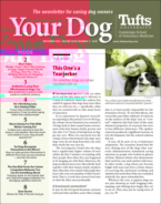 Your-Dog November 01, 2022 Issue Cover