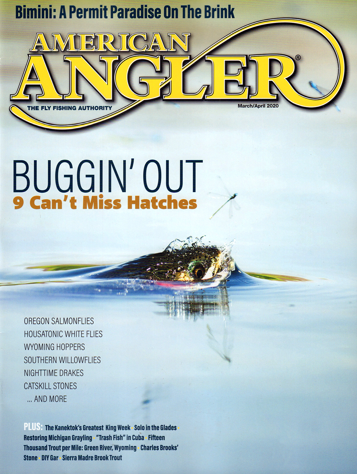 American-Angler March 01, 2020 Issue Cover