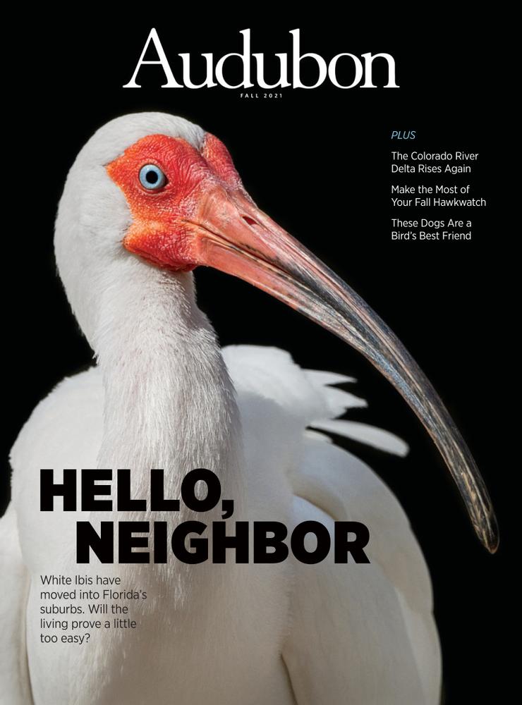 Audubon September 01, 2021 Issue Cover
