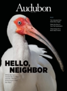 Audubon September 01, 2021 Issue Cover
