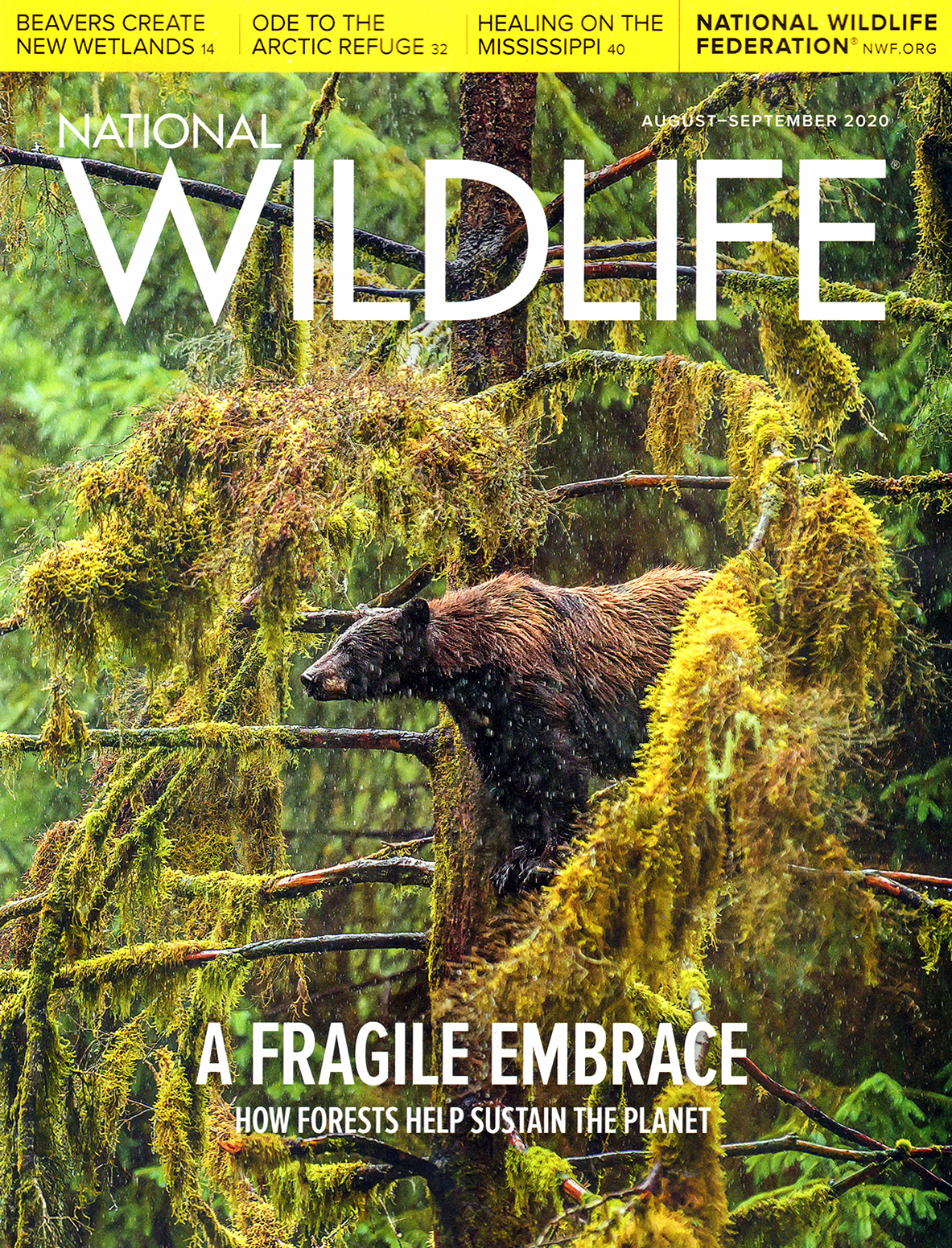 National-Wildlife August 01, 2020 Issue Cover