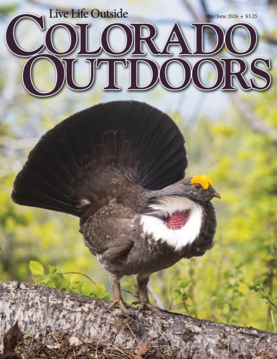 Colorado Outdoors May 01, 2026 Issue Cover