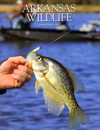 Arkansas Wildlife January 01, 2014 Issue Cover