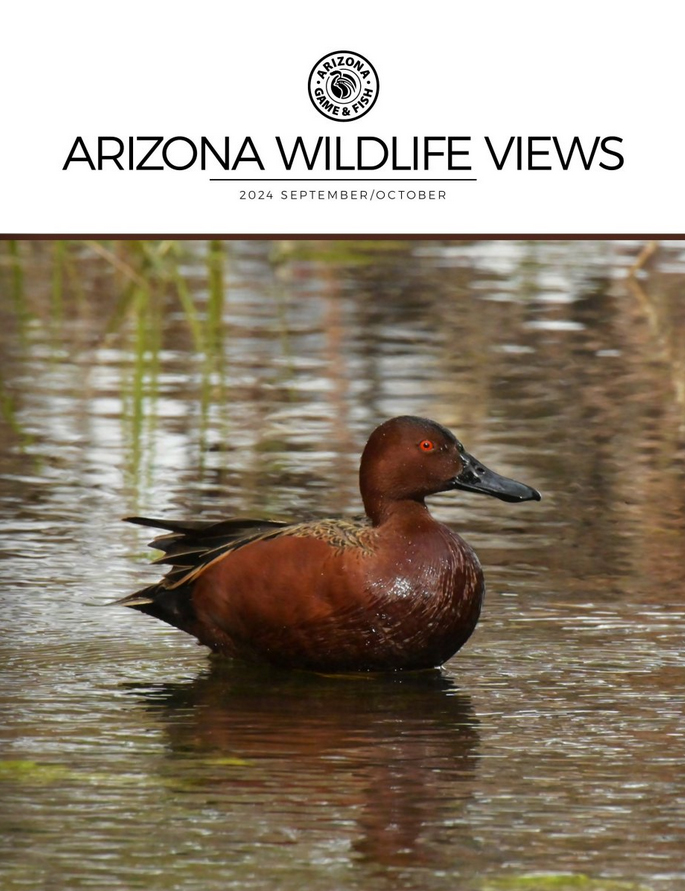 Arizona Wildlife Views September 01, 2024 Issue Cover