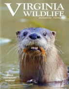 Virginia-Wildlife July 01, 2025 Issue Cover
