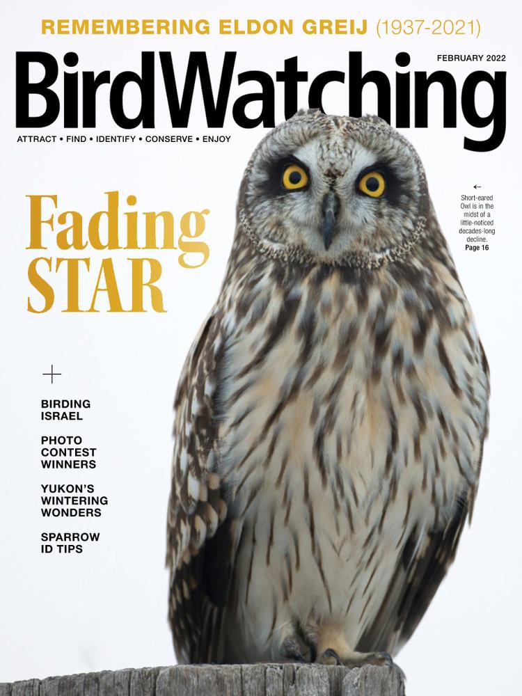 Bird-Watching February 01, 2022 Issue Cover