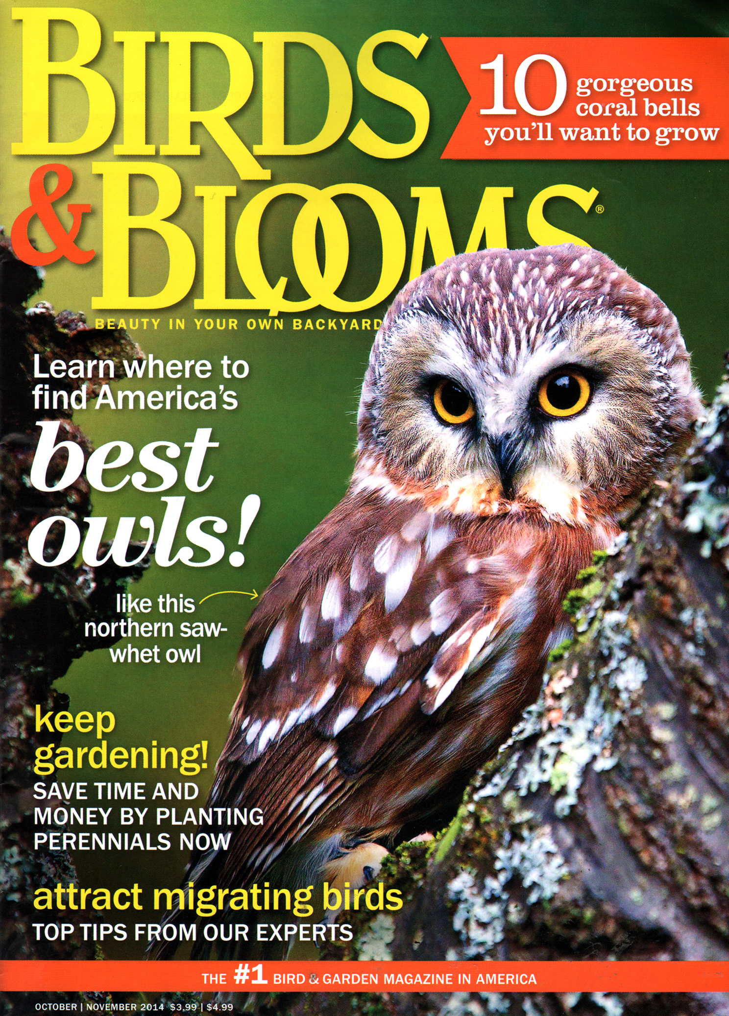 Birds-and-Blooms October 01, 2014 Issue Cover