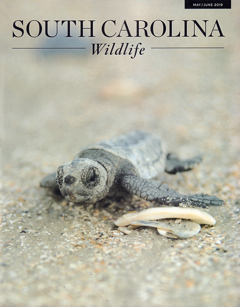 South-Carolina-Wildlife May 01, 2019 Issue Cover