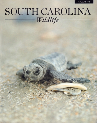 South Carolina Wildlife May 01, 2019 Issue Cover
