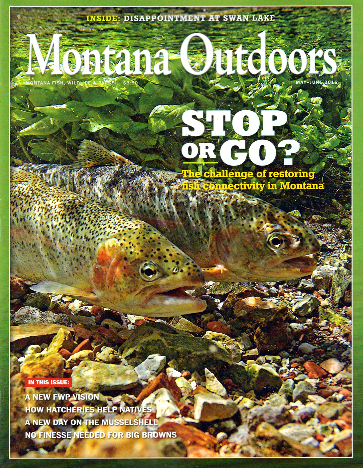 Montana-Outdoors May 01, 2016 Issue Cover