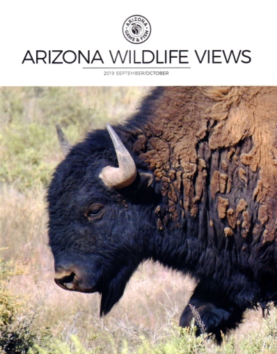 Arizona Wildlife Views September 01, 2019 Issue Cover