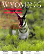 Wyoming-Wildlife August 01, 2018 Issue Cover