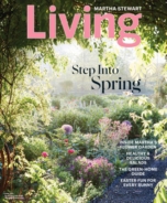 Martha-Stewart-Living April 01, 2021 Issue Cover